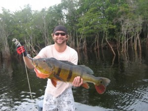 Brett's 20 lb. Peacock Bassasouras on the fly in Brazil