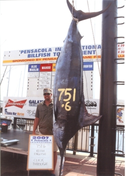 Blue Marlin - Keith 751 lb. Blue Marlin caught in the Gulf of Mexico